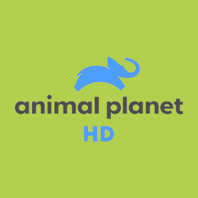 animal-planet-hd